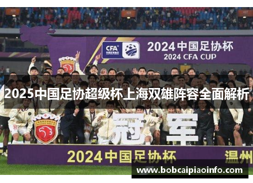 2025中国足协超级杯上海双雄阵容全面解析
