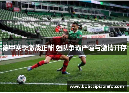 德甲赛季激战正酣 强队争霸严谨与激情并存