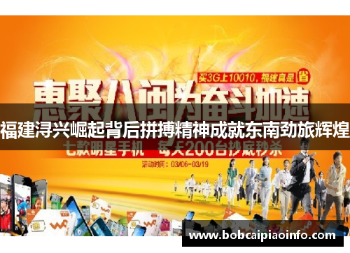 福建浔兴崛起背后拼搏精神成就东南劲旅辉煌