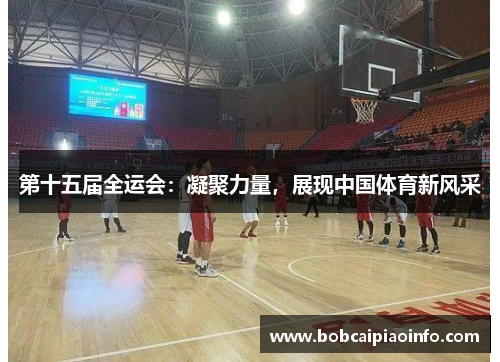 第十五届全运会：凝聚力量，展现中国体育新风采
